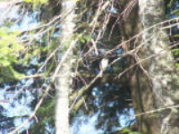 100_6135.jpg